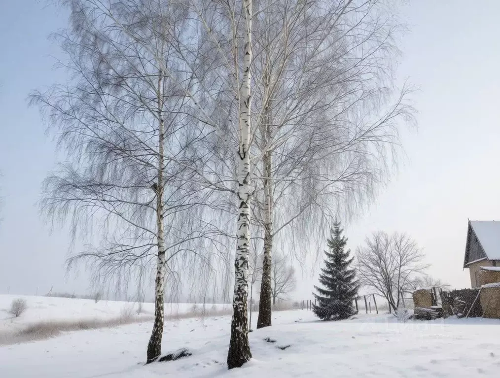 Участок в Тульская область, Щекинский район, Ломинцевское с/пос, д. ... - Фото 1