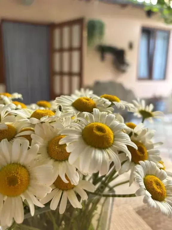 Дом в Крым, Алушта ул. Карла Маркса, 4 (30 м) - Фото 0