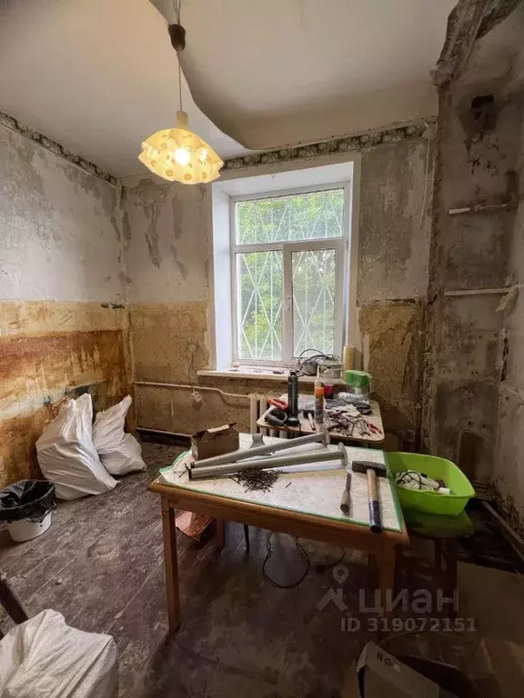 2-к кв. Псковская область, Великие Луки Новоселенинская ул., 10 (52.0 ... - Фото 1