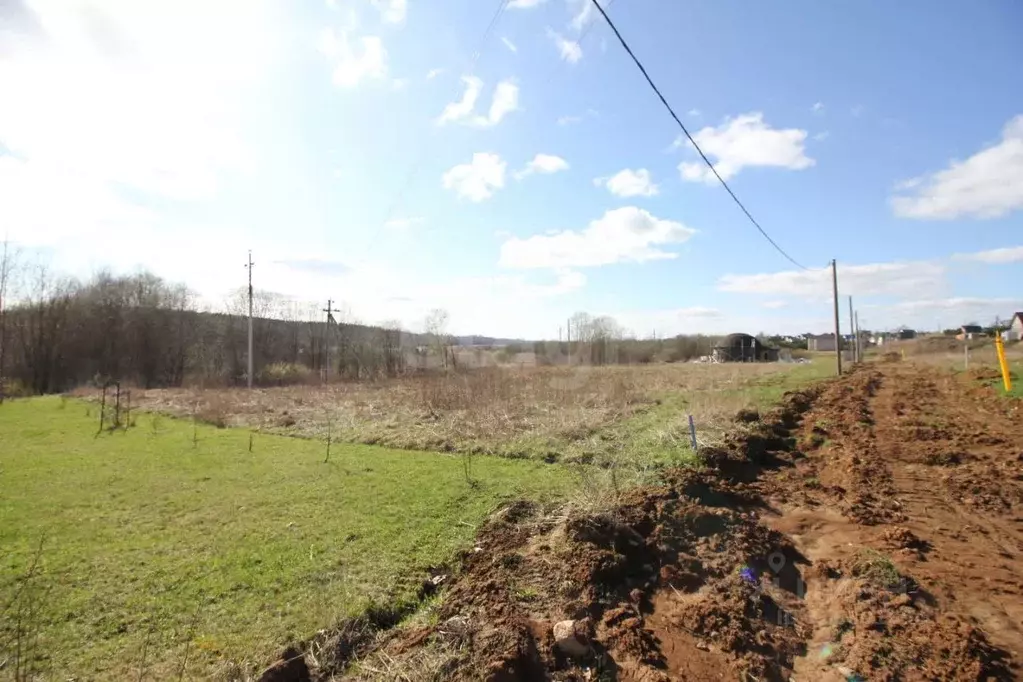 Участок в Вологодская область, Шекснинский район, Никольское с/пос, д. ... - Фото 1