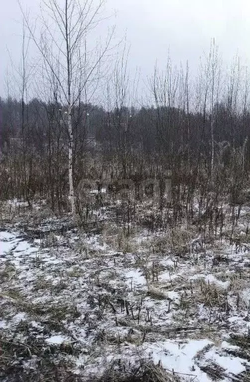 Участок в Вологодская область, пос. Лесково  (13.1 сот.) - Фото 2