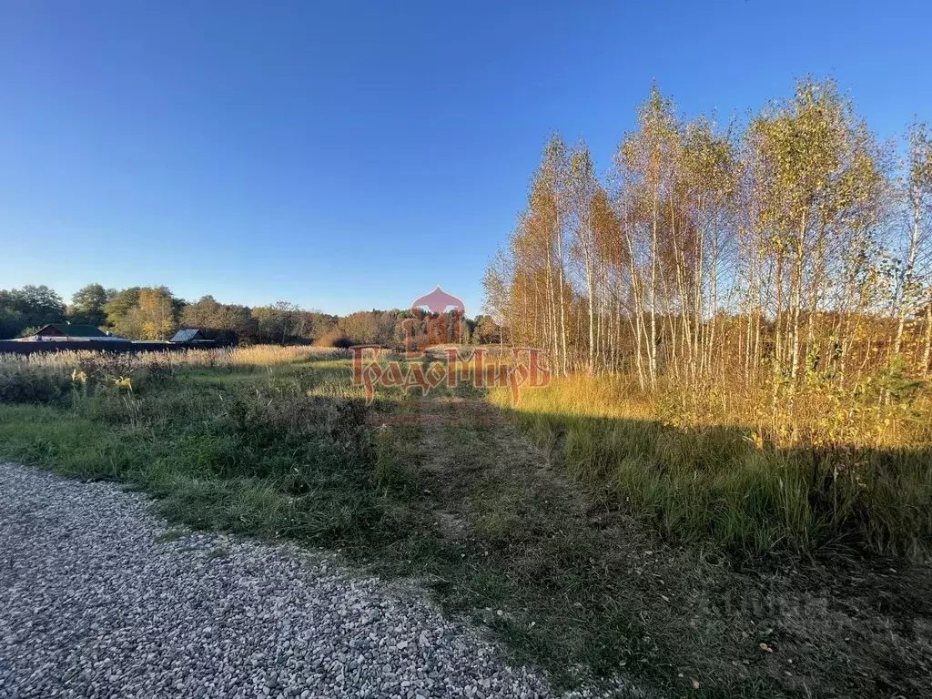 Участок в Владимирская область, Александровский район, Каринское ... - Фото 1