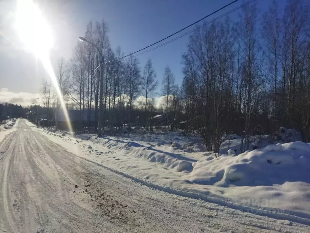 Участок в Ленинградская область, Ломоносовский район, Лебяженское ... - Фото 1