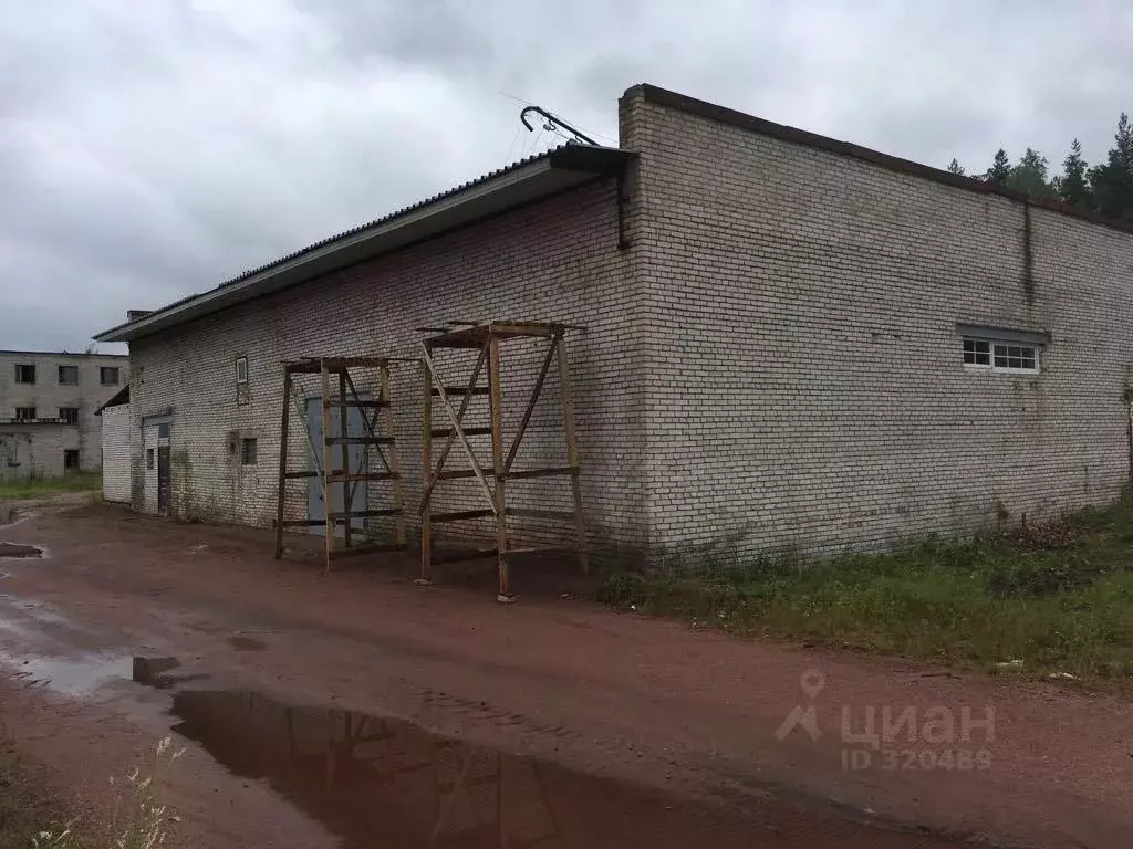 Производственное помещение в Ленинградская область, Выборг Кировский ... - Фото 0