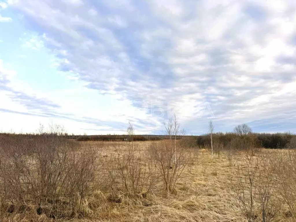 Участок в Тюменская область, Тюменский район, Горошинка-3 СНТ ул. ... - Фото 1