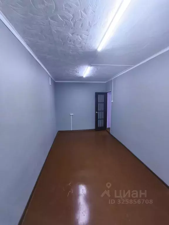 Офис в Тульская область, Тула ул. Максима Горького, 31 (185 м) - Фото 1