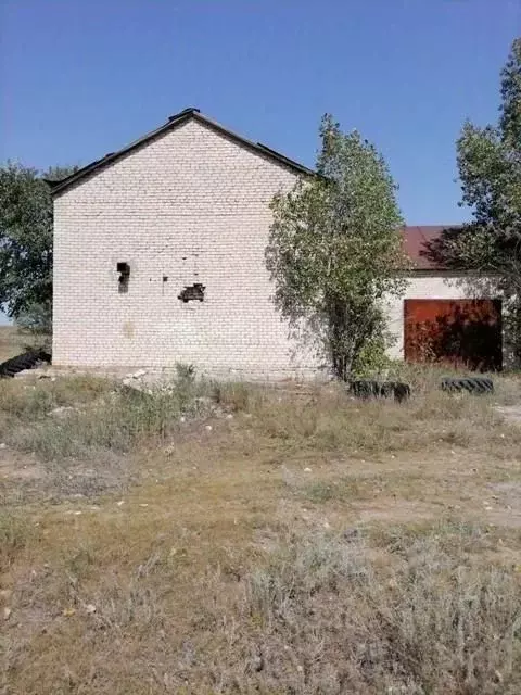 Помещение свободного назначения в Волгоградская область, Михайловский ... - Фото 1