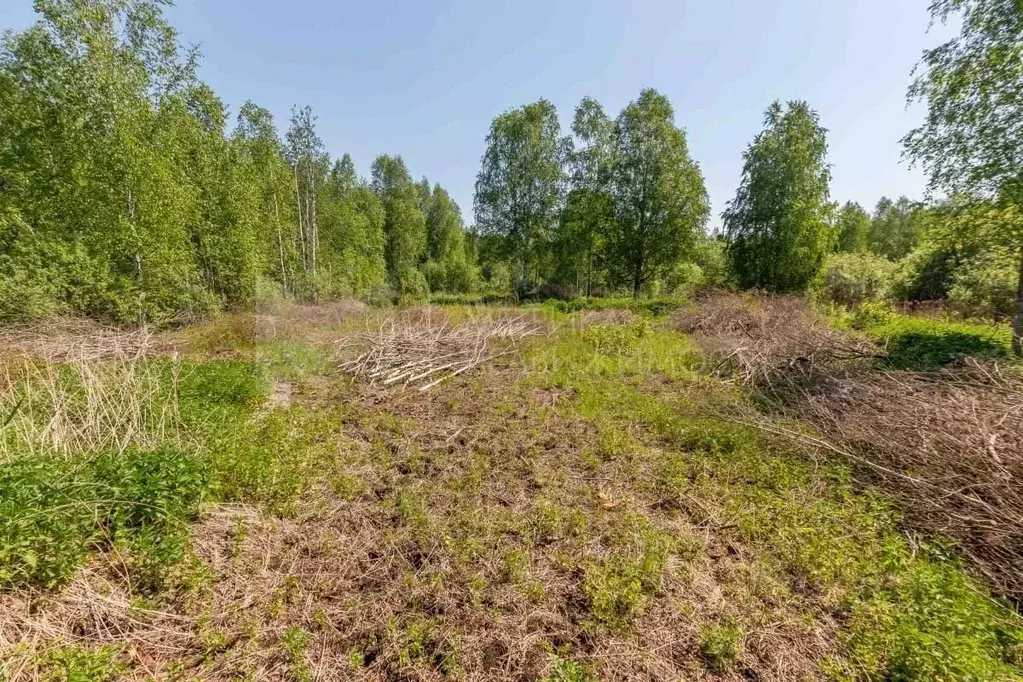 Участок в Тюменская область, Нижнетавдинский район, Фортуна СТ  (20.0 ... - Фото 0