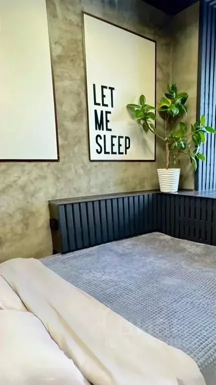 1-к кв. Пермский край, Пермь ул. Куйбышева, 109А (26.0 м) - Фото 1