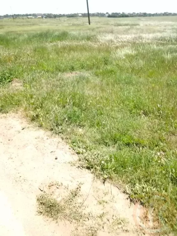 Участок в Крым, Сакский район, Молочненское с/пос, с. Витино ул. ... - Фото 2