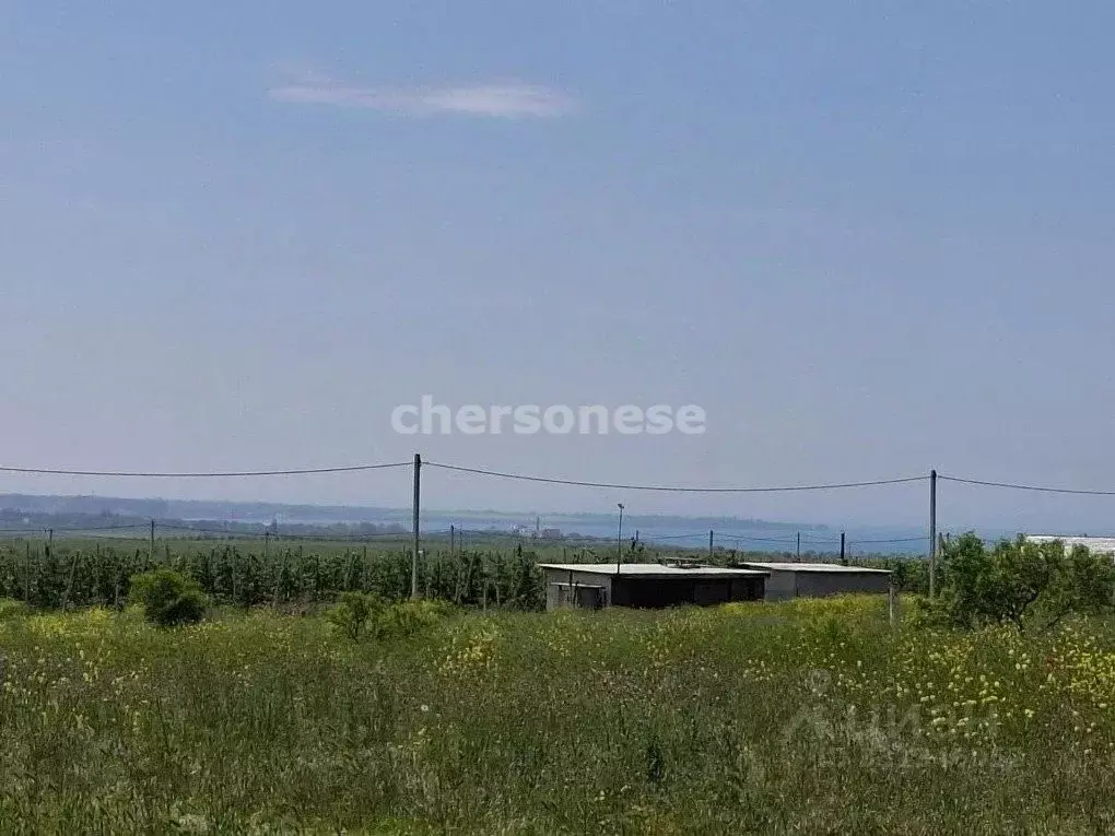 Участок в Крым, Бахчисарайский район, Песчановское с/пос, с. Береговое ... - Фото 2
