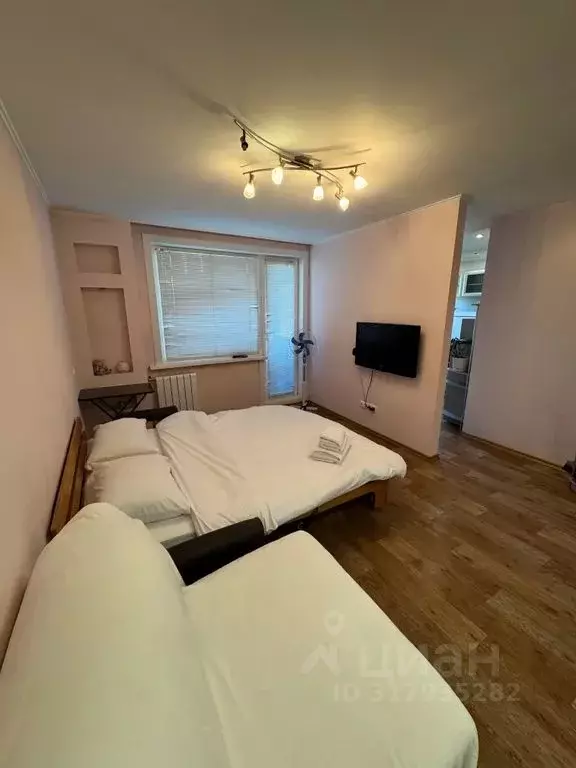 1-к кв. Новосибирская область, Новосибирск ул. Крылова, 40 (30.0 м) - Фото 0