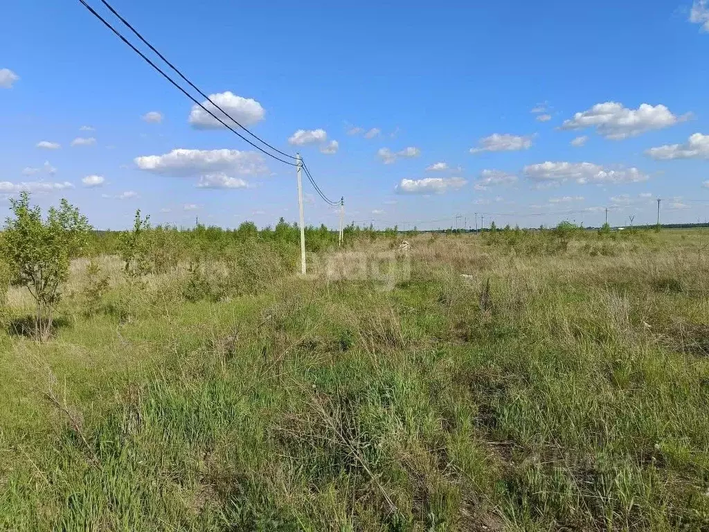 Участок в Московская область, Коломна городской округ, с. Никульское ... - Фото 0