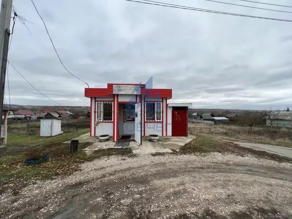 Торговая площадь в Самарская область, Сызранский район, с. Чекалино ... - Фото 0