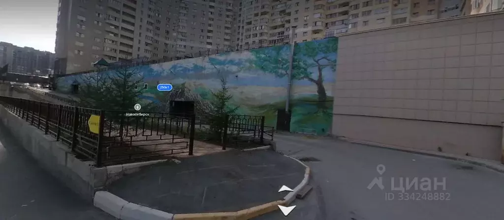 Помещение свободного назначения в Новосибирская область, Новосибирск ... - Фото 1