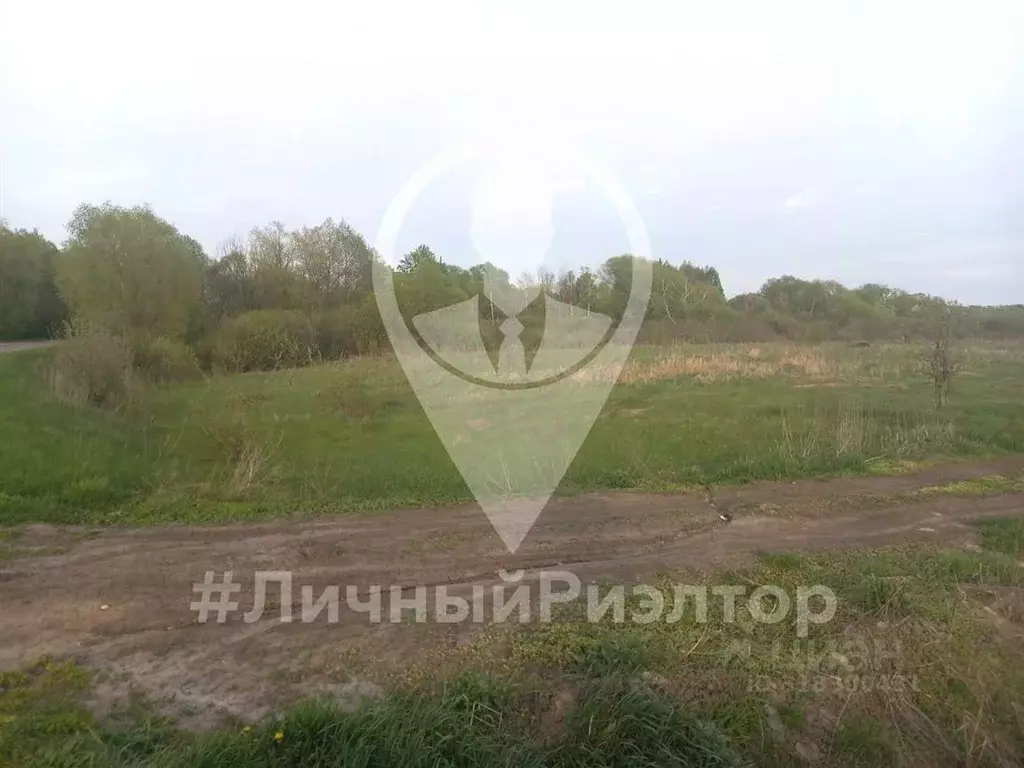 Участок в Рязанская область, Захаровский район, Добро-Пчельское с/пос, ... - Фото 0