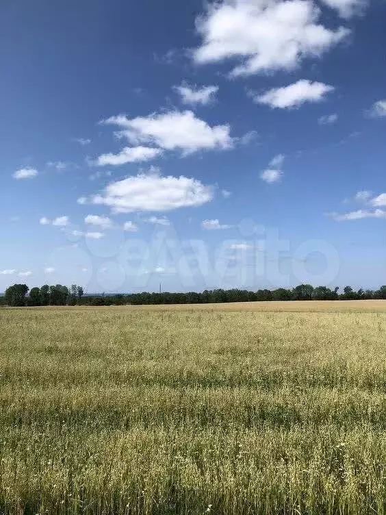 Участок 6 сот. (СНТ, ДНП) - Фото 1