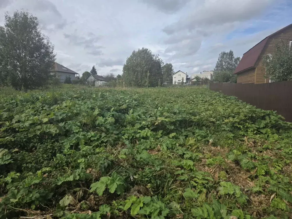 Участок в Ленинградская область, Гатчинский муниципальный округ, д. ... - Фото 1