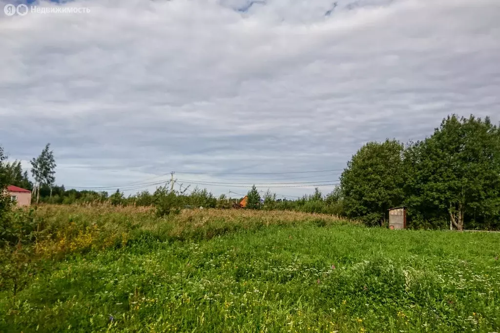 Участок в Шумское сельское поселение (11 м) - Фото 1