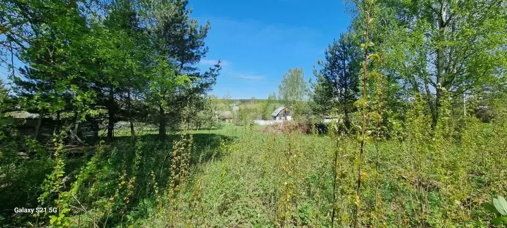 Участок в Калужская область, Дзержинский муниципальный округ, Льва ... - Фото 2
