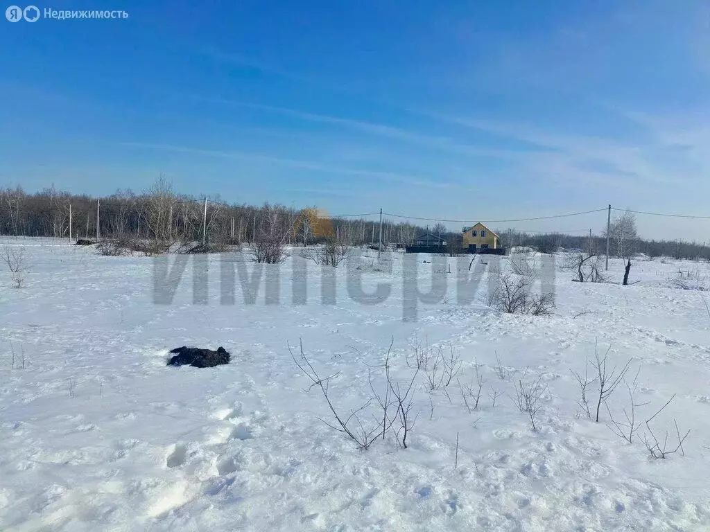 Участок в Саратов, посёлок Большая Кумысная поляна (6 м) - Фото 1