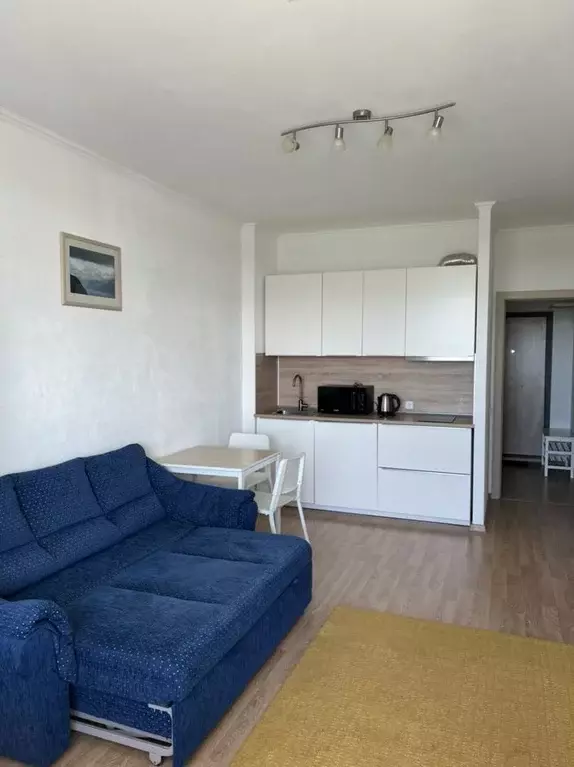 Студия Санкт-Петербург ул. Адмирала Черокова, 20 (25.0 м) - Фото 1
