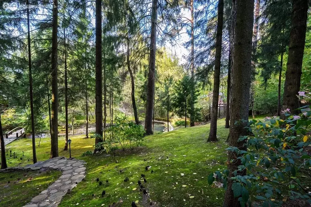 Участок в Одинцовский городской округ, деревня Таганьково (110 м) - Фото 0