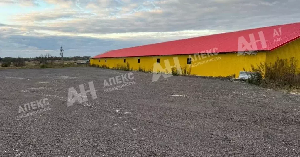 Склад в Московская область, Кашира городской округ, д. Барабаново ул. ... - Фото 1