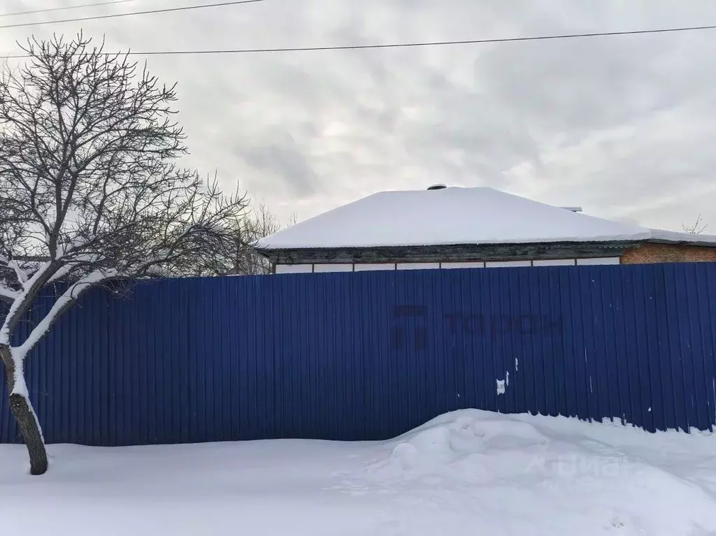 Дом в Челябинская область, Челябинск Паровозная ул., 48 (54 м) - Фото 2