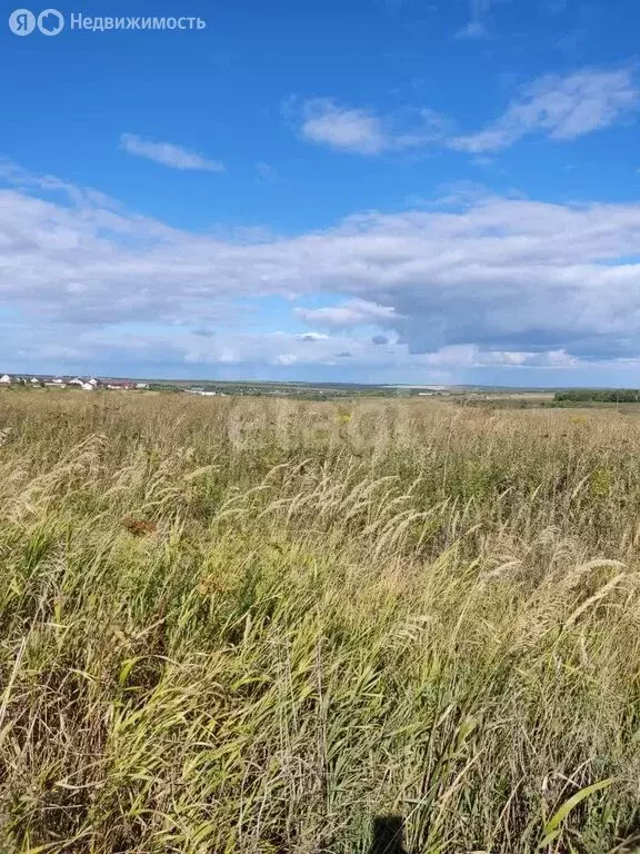 Участок в Мокшанский район, Рамзайский сельсовет, село Рамзай (14 м) - Фото 1