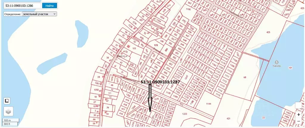 Участок в Новгородская область, Новгородский район, Ракомское с/пос, ... - Фото 1