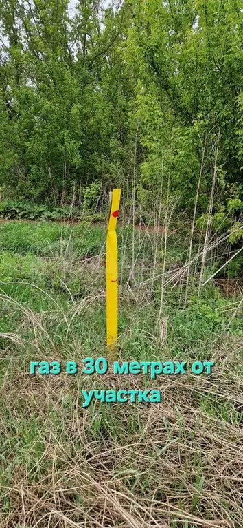 Участок 5,88 га (ИЖС) - Фото 1