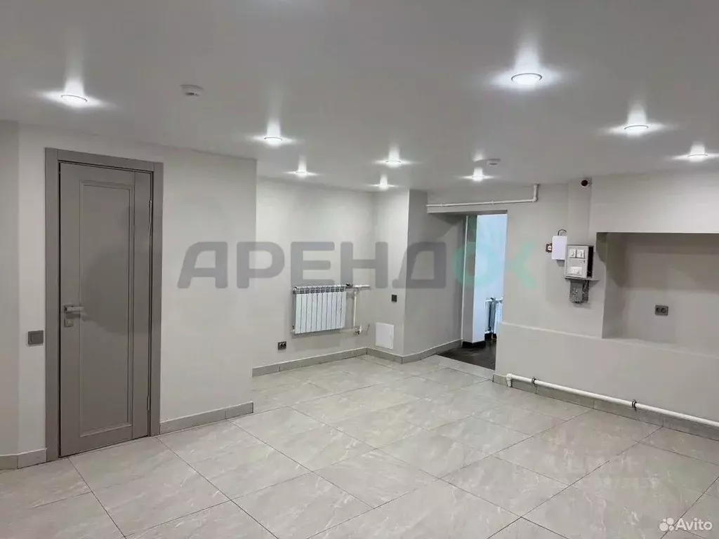 Помещение свободного назначения в Татарстан, Казань Ленская ул., 4 (66 ... - Фото 1