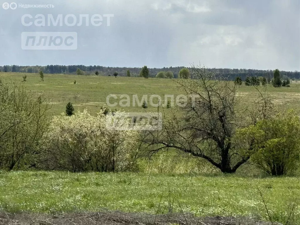 Дом в село Сотниково, Пролетарская улица (64 м) - Фото 1