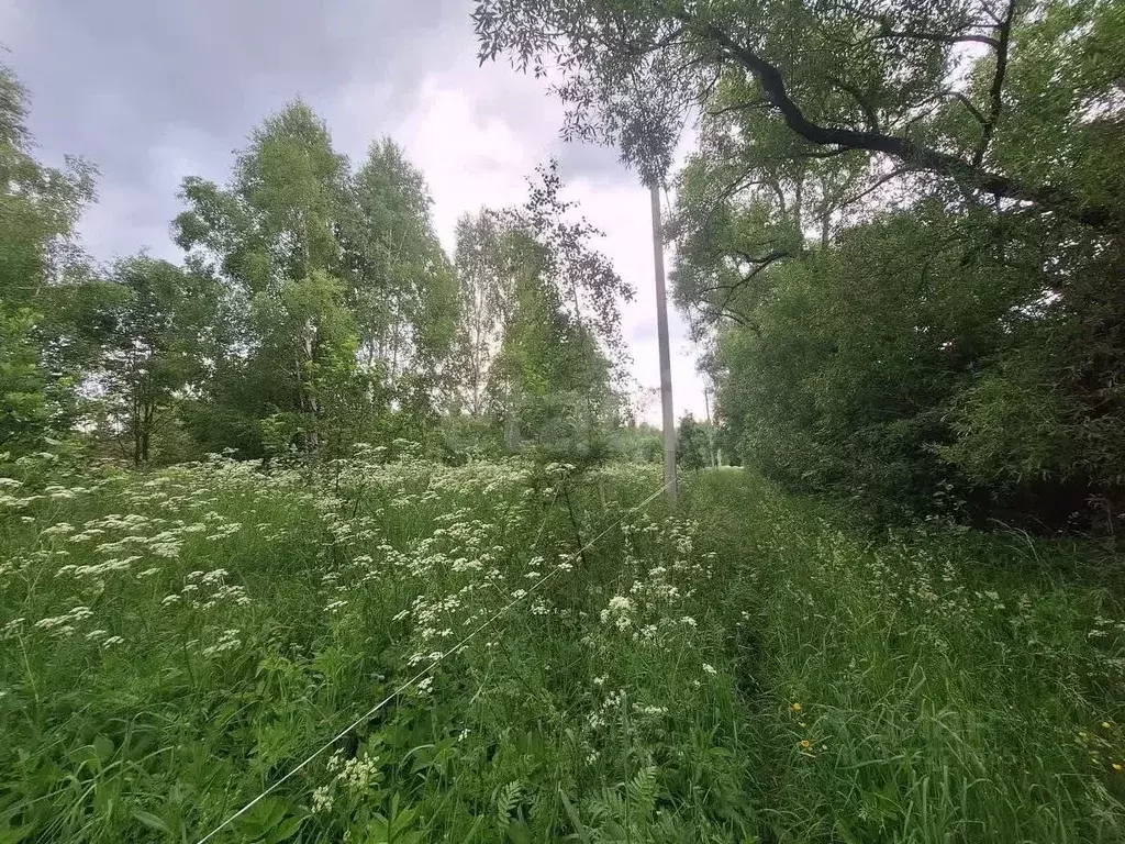 Участок в Владимирская область, Петушинский муниципальный округ, д. ... - Фото 2