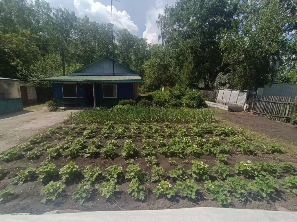 Дом в Омская область, Омск Осташково мкр, ул. Ноябрьская (60 м) - Фото 1