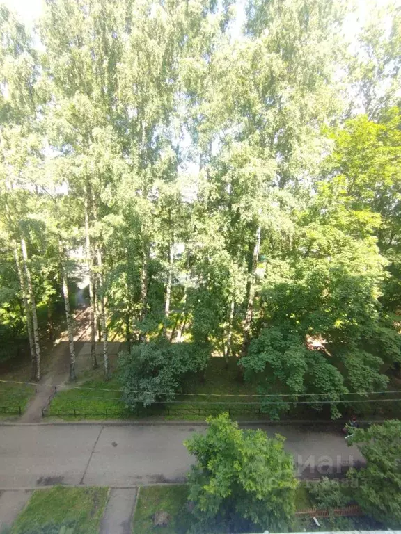 1-к кв. Санкт-Петербург Северный просп., 91К1 (30.7 м) - Фото 1