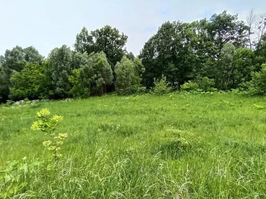 Участок в Московская область, Мытищи городской округ, пос. Вешки 1 ... - Фото 1