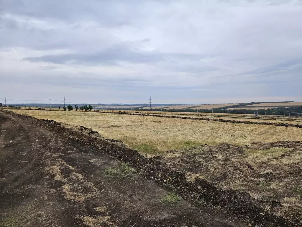 Участок в Ростовская область, Аксайский район, Рассветовское с/пос  ... - Фото 2