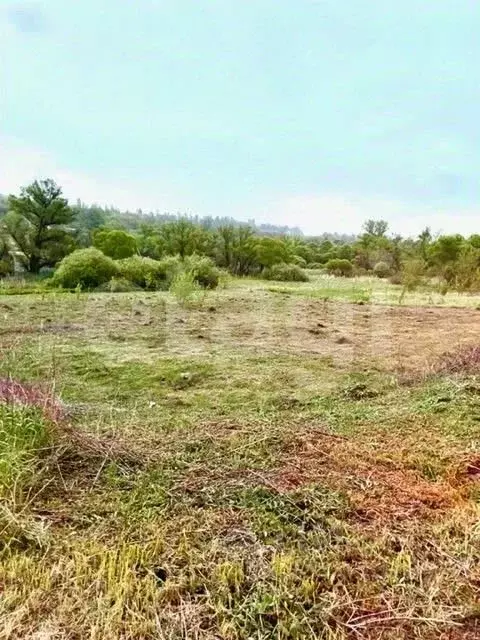 Участок в Белгородская область, Белгородский муниципальный округ, с. ... - Фото 1