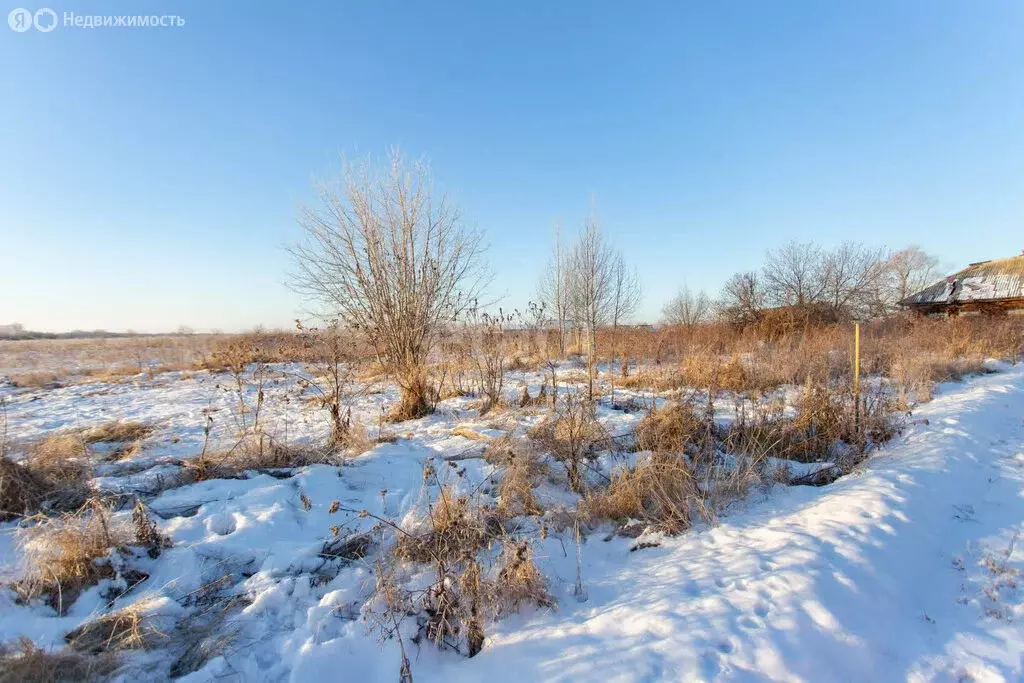 Участок в деревня Полуянова, Заречная улица (25 м) - Фото 1