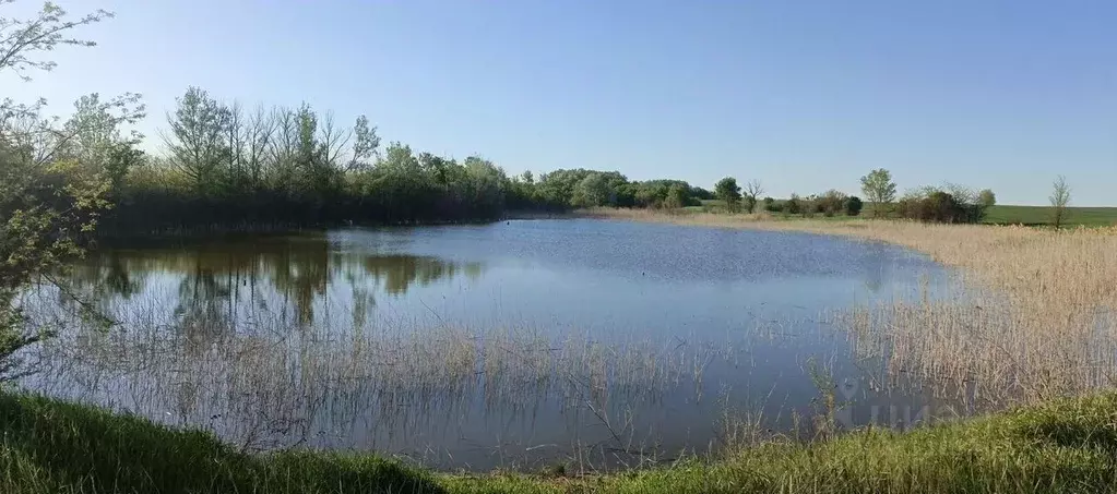 Участок в Ростовская область, Зерноградский район, Гуляй-Борисовское ... - Фото 1