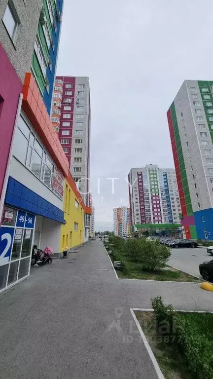 Офис в Тюменская область, Тюмень ул. Федюнинского, 60к1 (150.0 м) - Фото 1