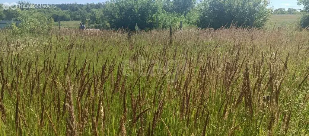 Участок в село Сырейка, коттеджный посёлок Рядом с Гольфом (100 м) - Фото 1