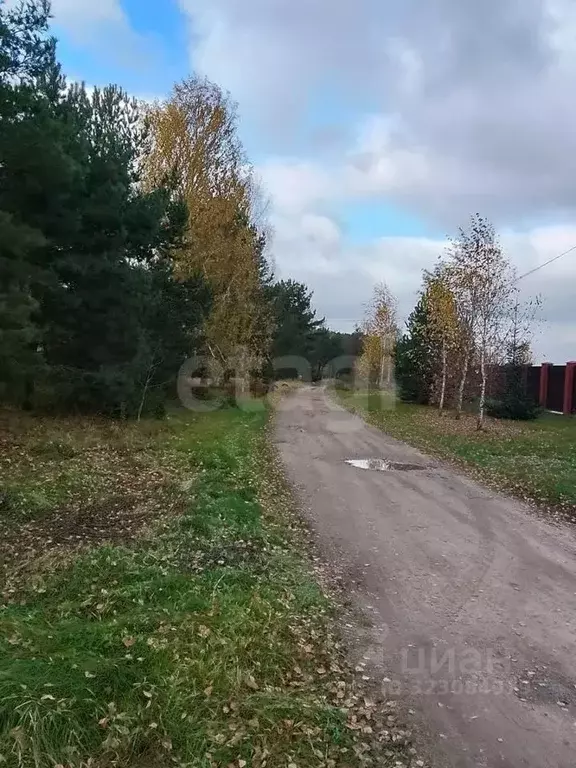 Дом в Калужская область, Дзержинский муниципальный округ, Дворцы ... - Фото 2