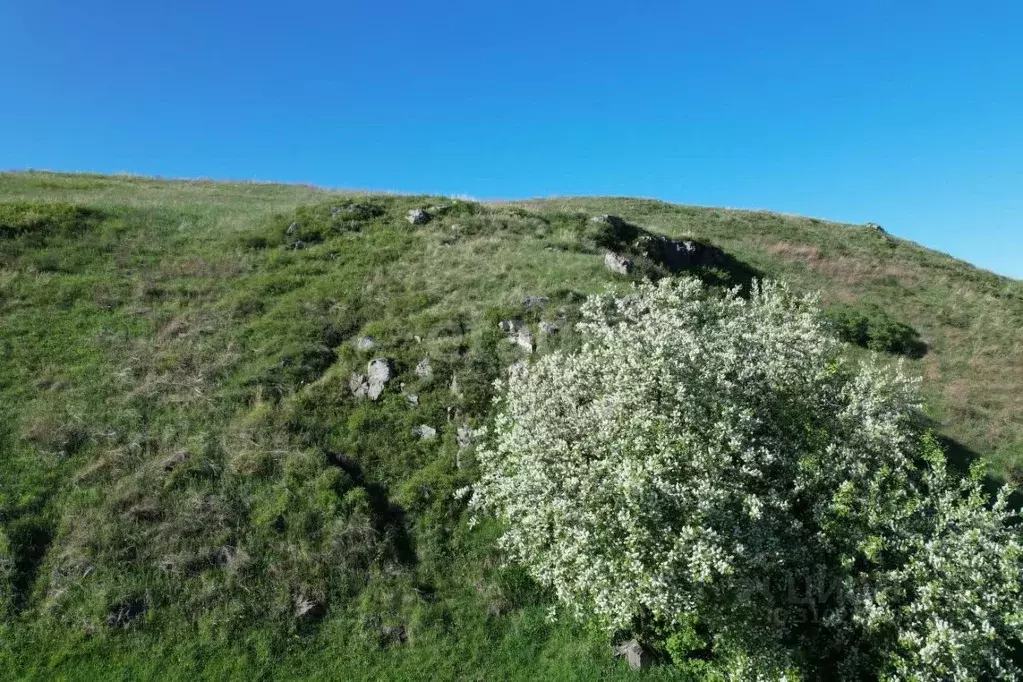 Участок в Алтай, Майминский район, с. Подгорное  (10.3 сот.) - Фото 0