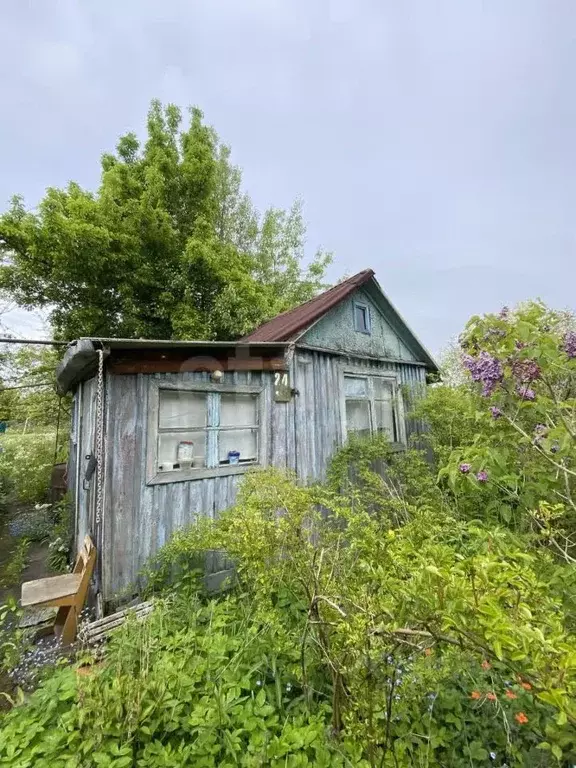 Дом в Калининградская область, Калининград Рассвет СНТ, ул. 1-я ... - Фото 1