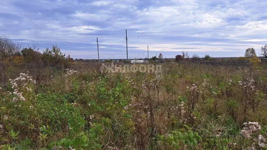 Участок в Новосибирская область, Новосибирский район, с. Криводановка ... - Фото 0