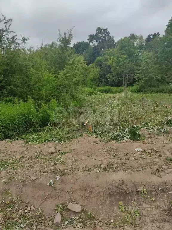 Участок в Калининградская область, Калининград Чайка СНТ, проезд ... - Фото 2