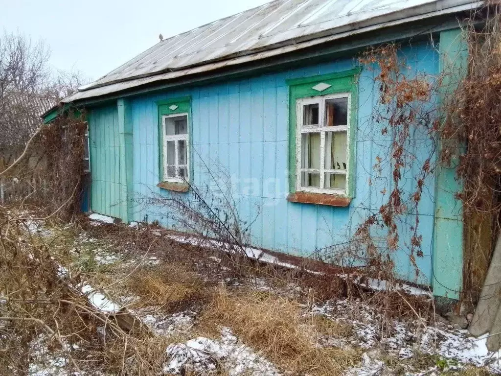 Дом в Белгородская область, Новооскольский муниципальный округ, с. ... - Фото 0